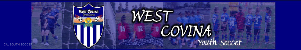 Cal South Soccer banner